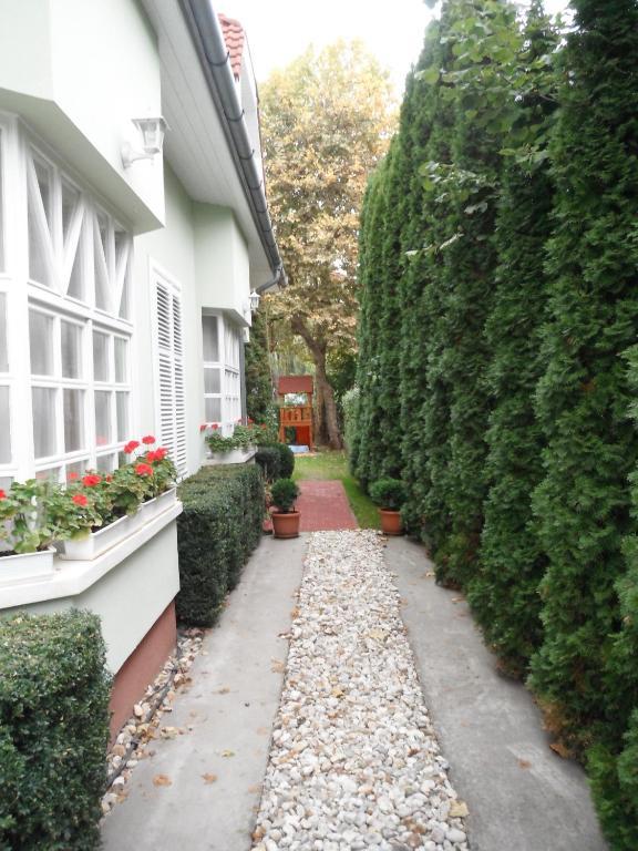 זמראדי Csokonai Guesthouse מראה חיצוני תמונה